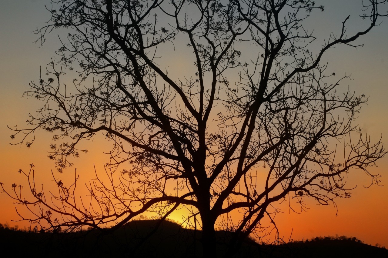Sunrise at Countryside.. Free Landscapes photos