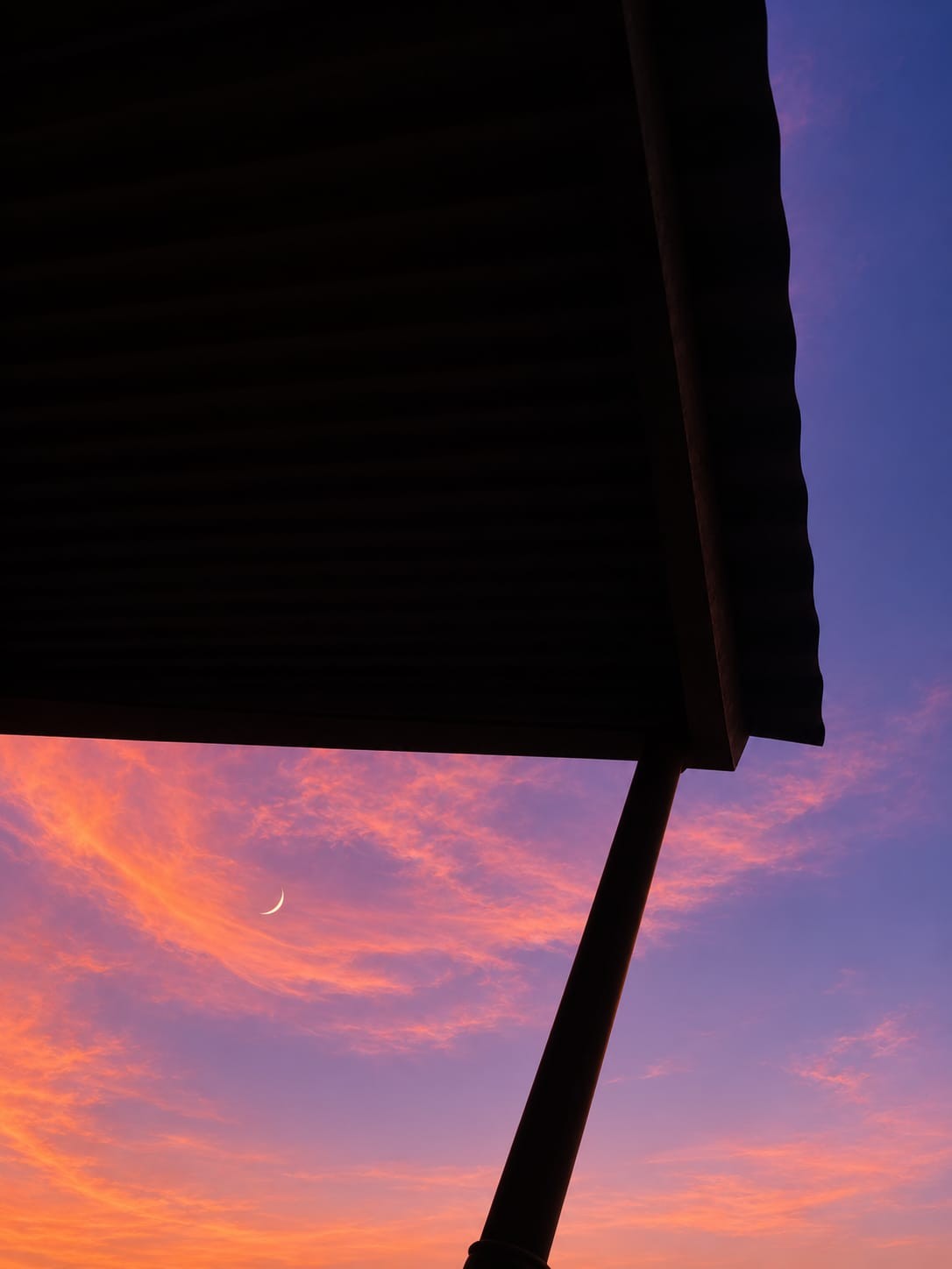 Moon. Free Skies photos