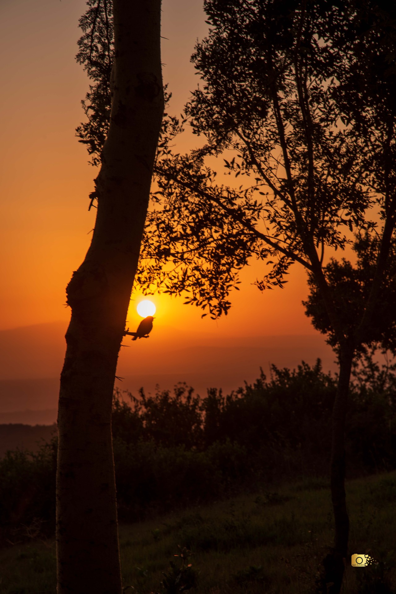 Morning in Lake Nakuru. Free Landscapes photos
