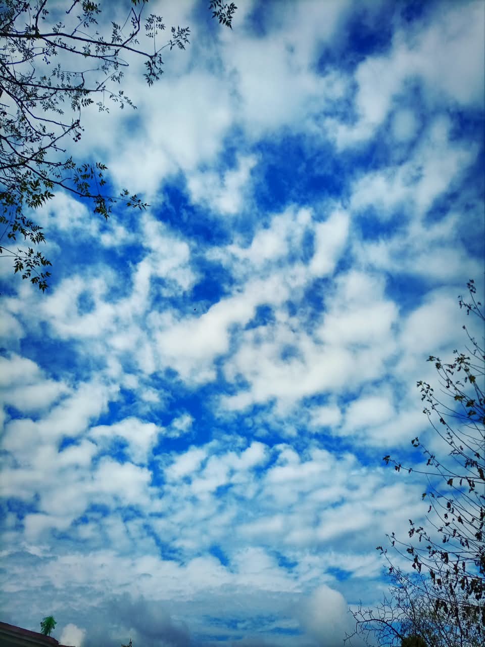 Blue Sky and Clouds. Free Skies photos