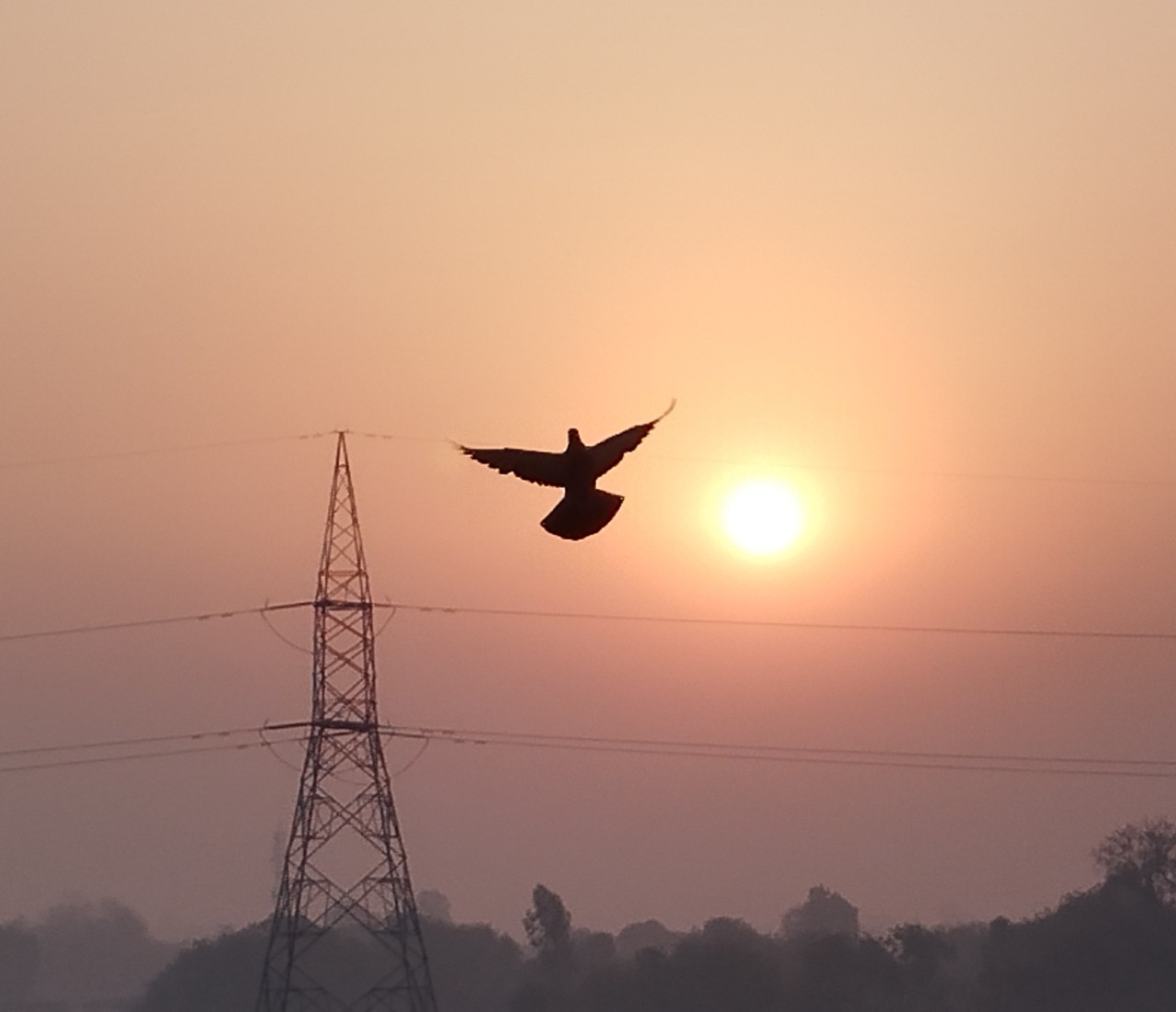Morning View. Free Landscapes photos