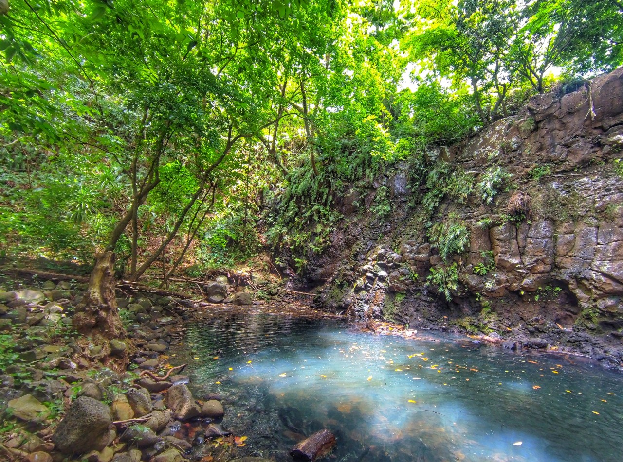 On the waterfall, Chamouny, Mauritius. Free Landscapes photos
