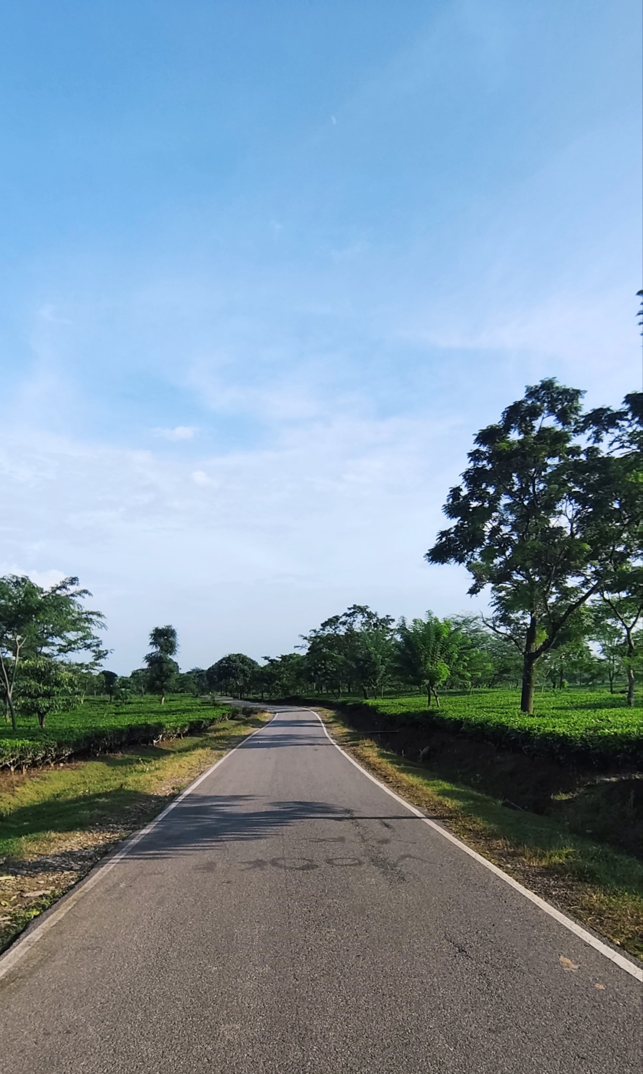 A lonely road. Free Landscapes photos