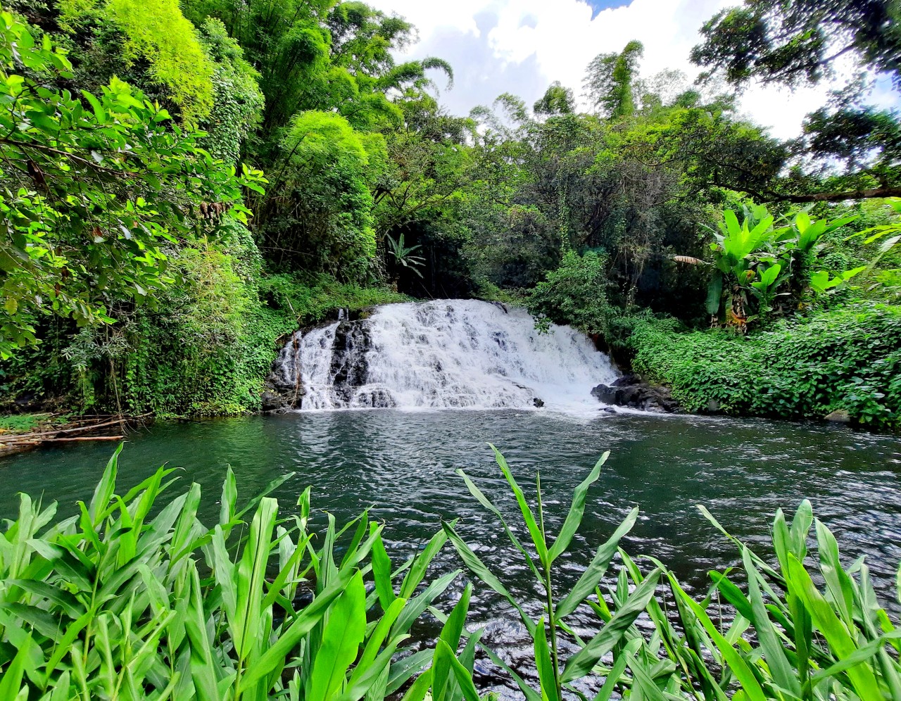 Kalpatia Waterfall - Mauritius. Free Landscapes photos