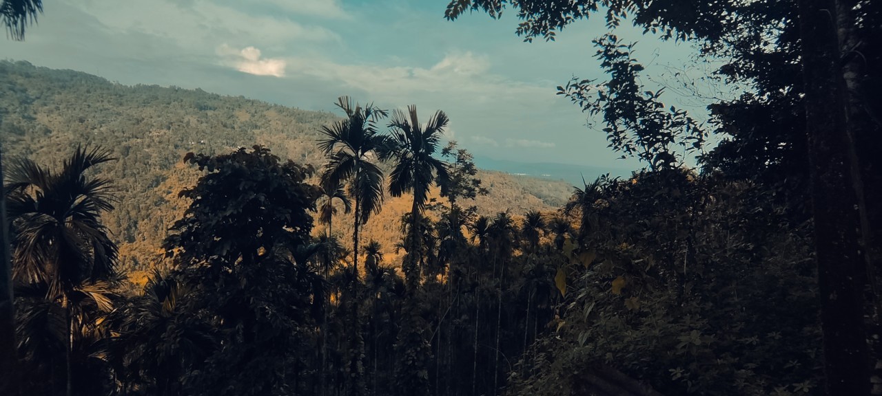 Mountain, North Bengal, India. Free Landscapes photos