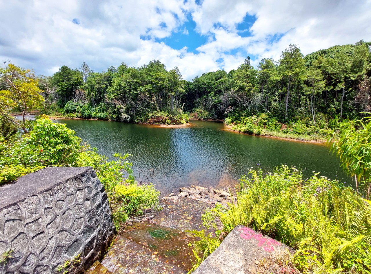 Botanical Garden Pamplemousses - Nature Photography Gallery