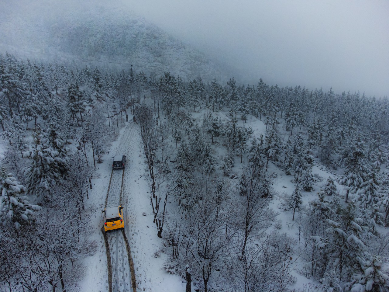The Road Through a White Paradise. Free Landscapes photos