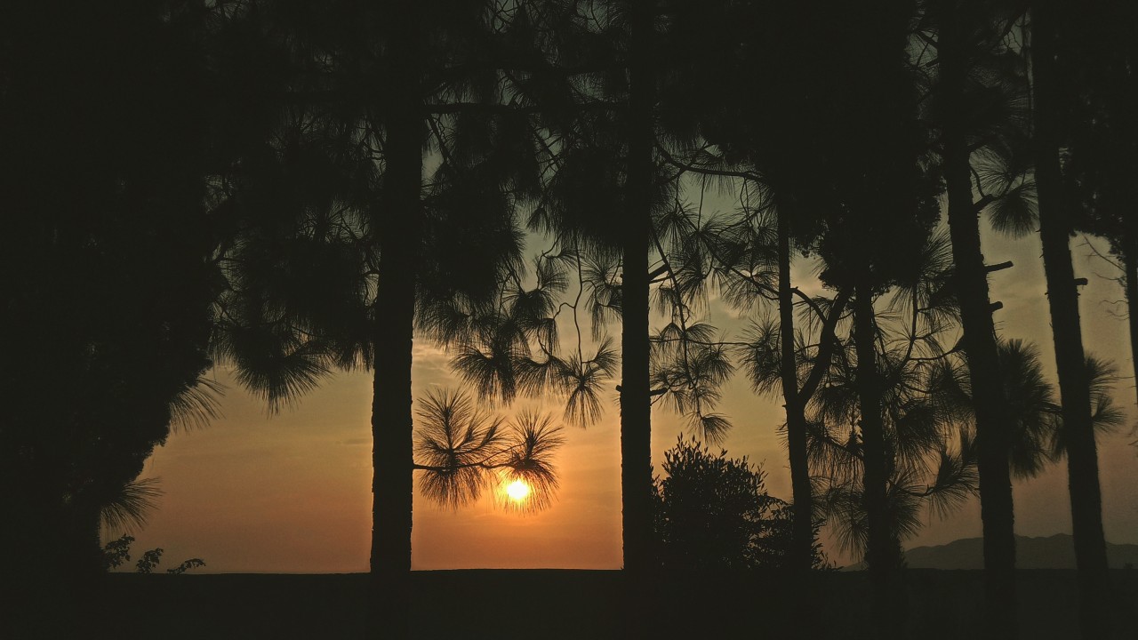 Sunset. Free Landscapes photos