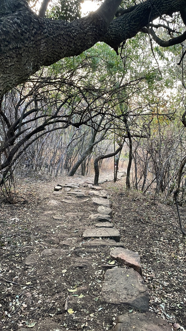 Nature reserve. Free Forests photos