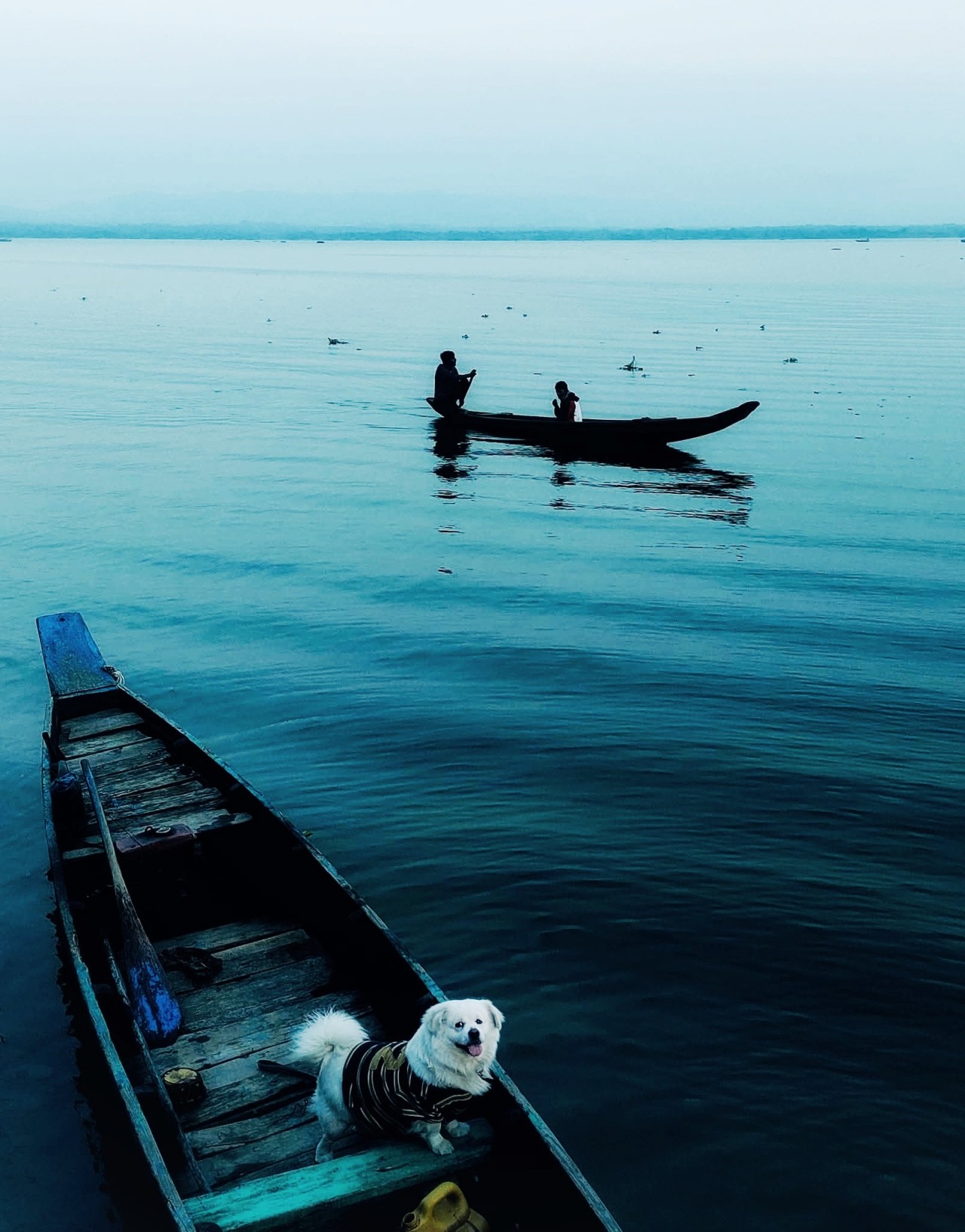Little traveller. Free Landscapes photos