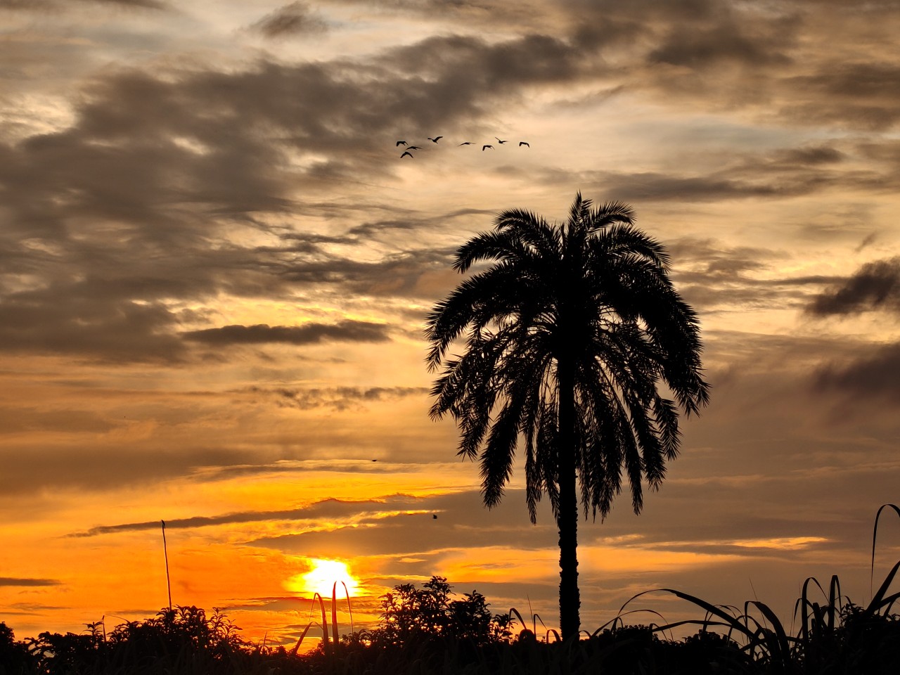 The sunset of Bangladesh. Free Skies photos