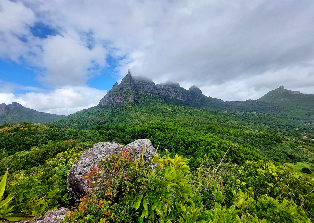 Pieter Both Mountain, Mauritius. Free Landscapes photos
