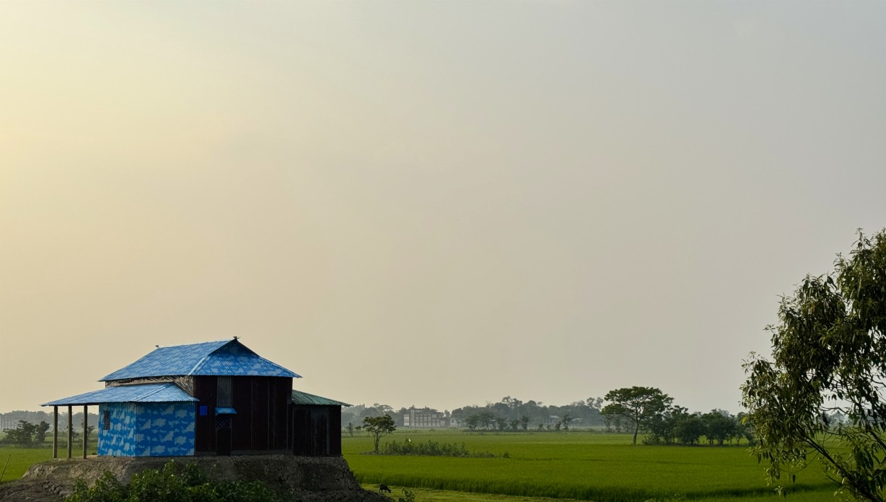 Last lights on the field. Free Landscapes photos