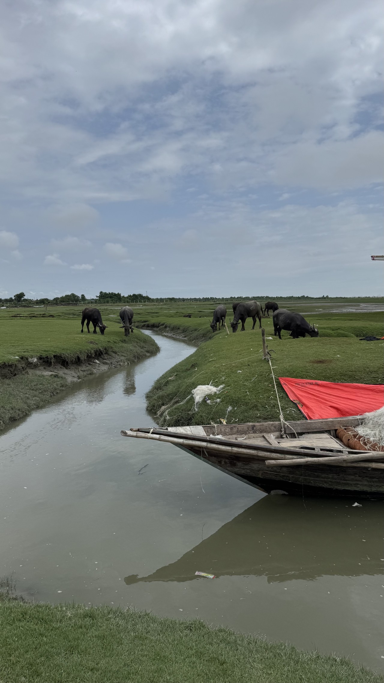Bay of Bengal. Free Wildlife photos