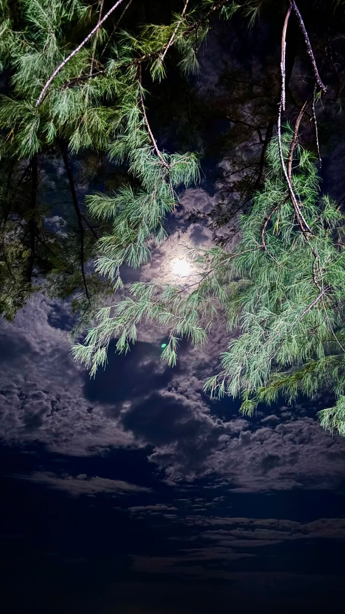 Moonlight at Krabi. Free Skies photos