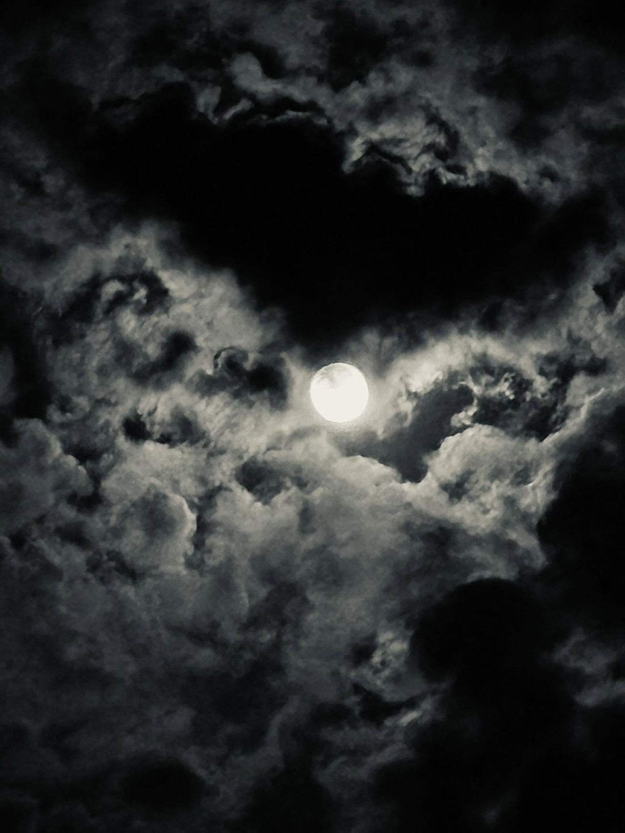 Moonlight. Free Skies photos