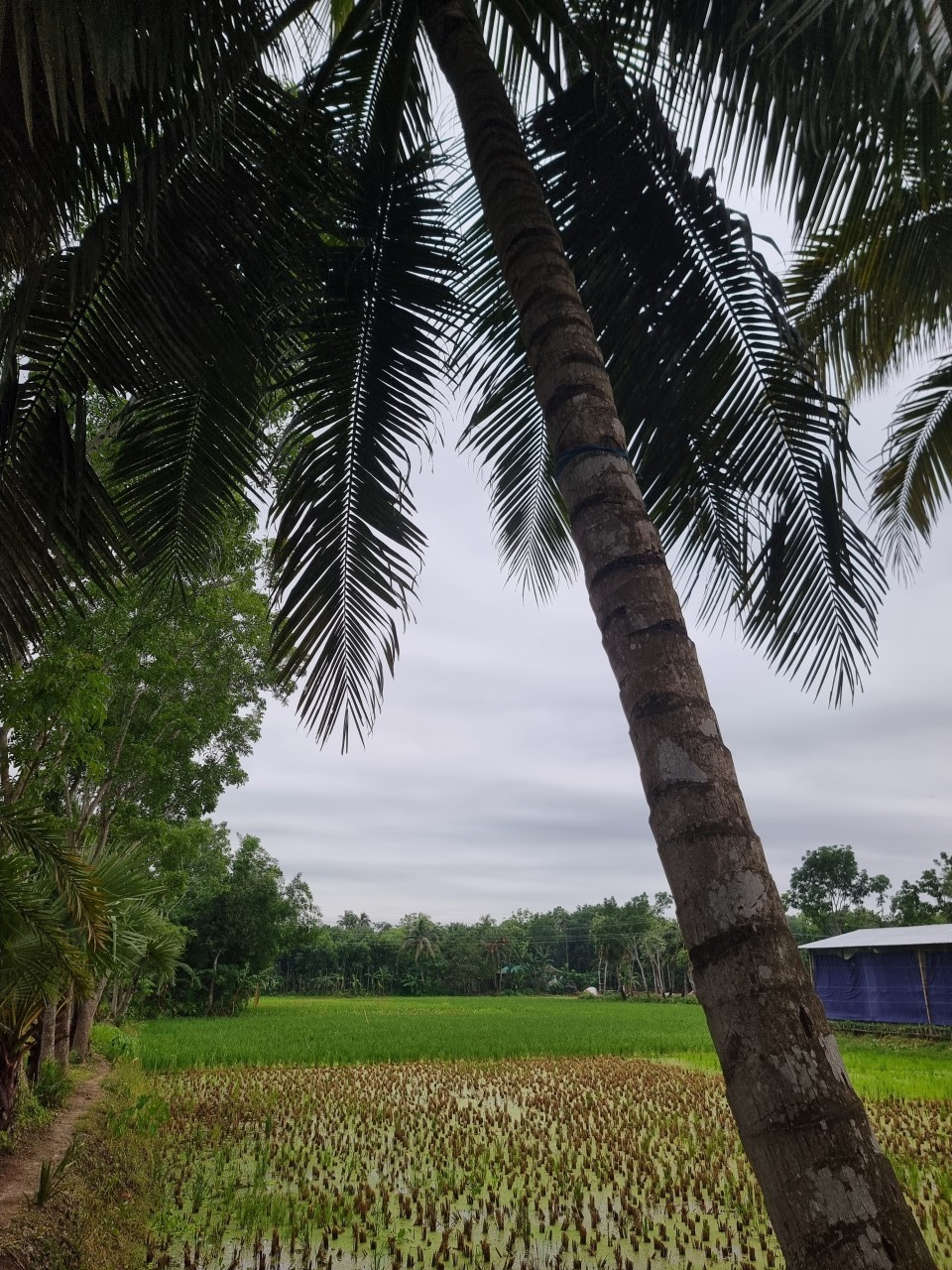 Village. Free Landscapes photos
