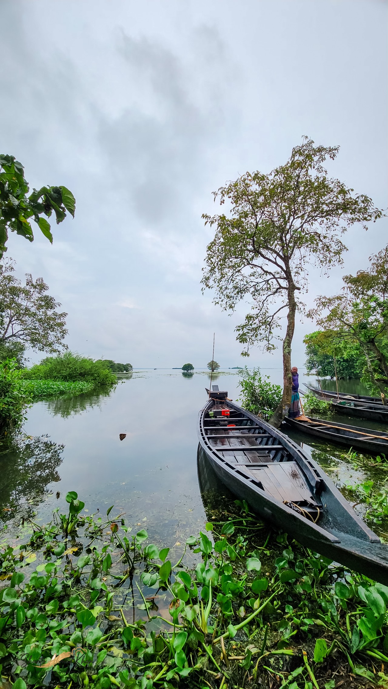 A boat tied to the shore. Free Landscapes photos