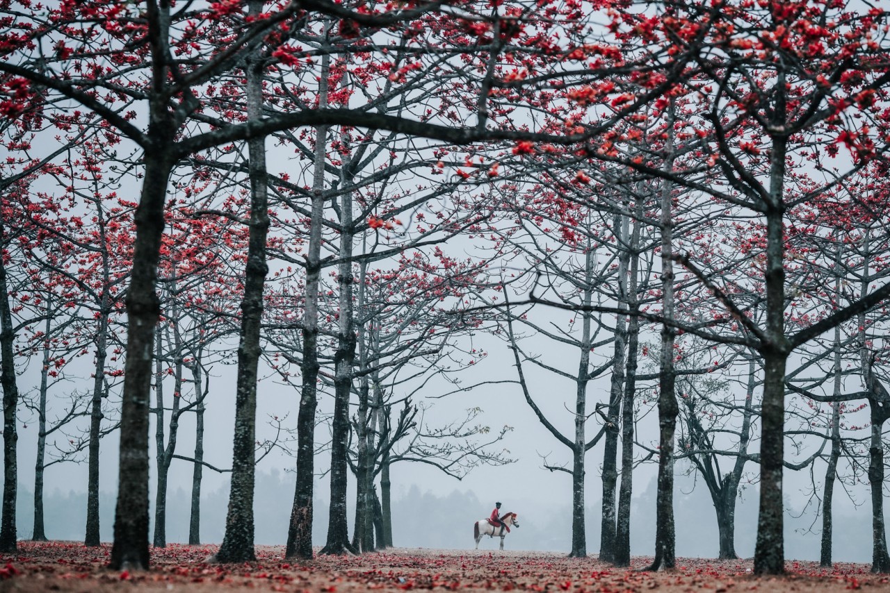 Flower Society. Free Landscapes photos