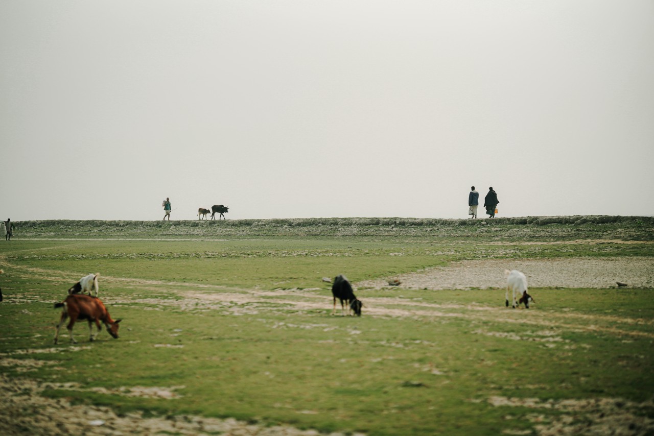 Beauty of Bangladesh landscape. Free Landscapes photos