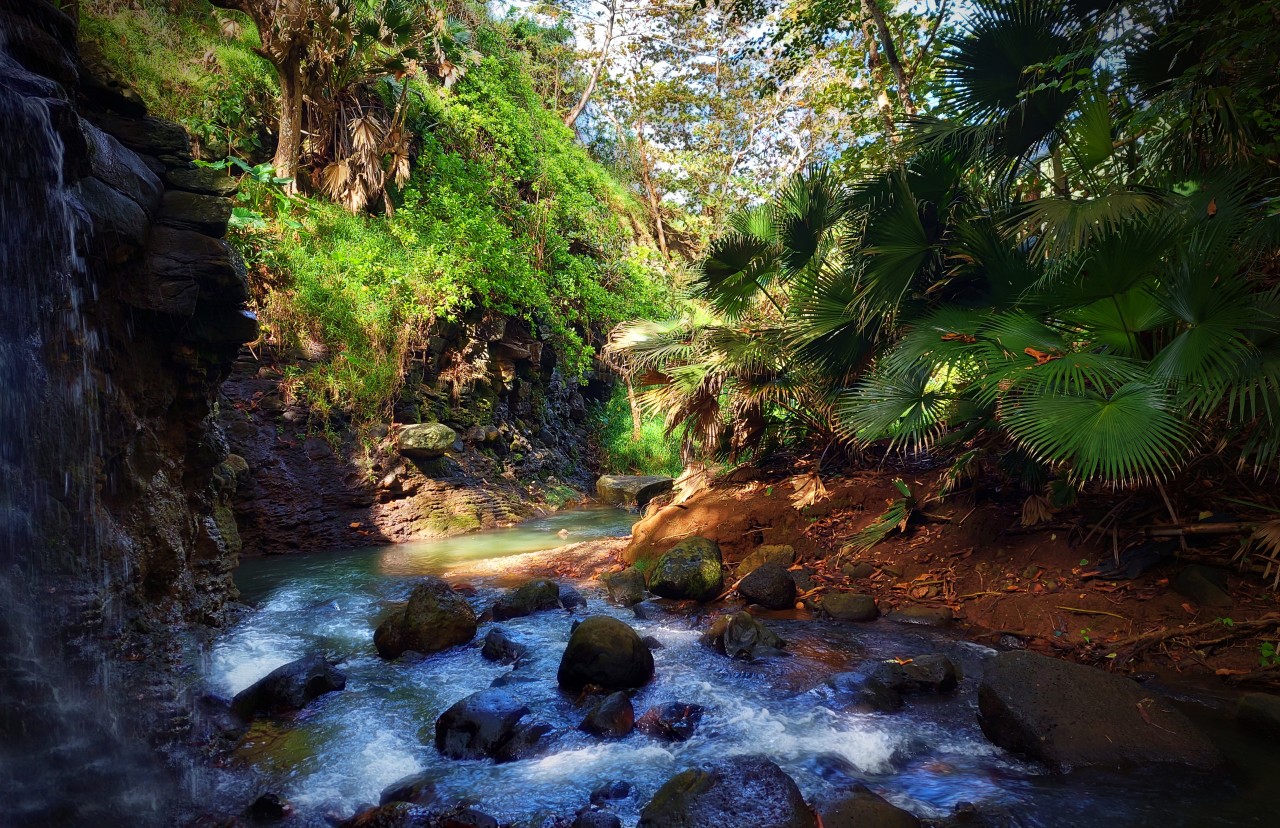 The River, Mauritius. Free Landscapes photos