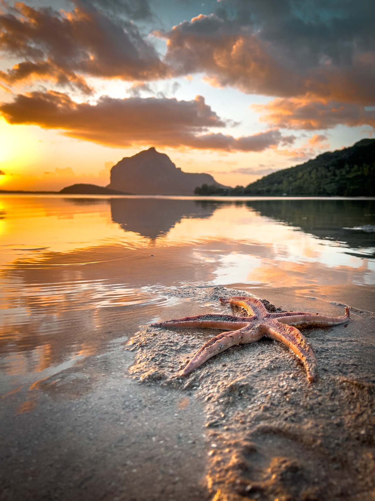 Rising Star. Free Seascapes photos