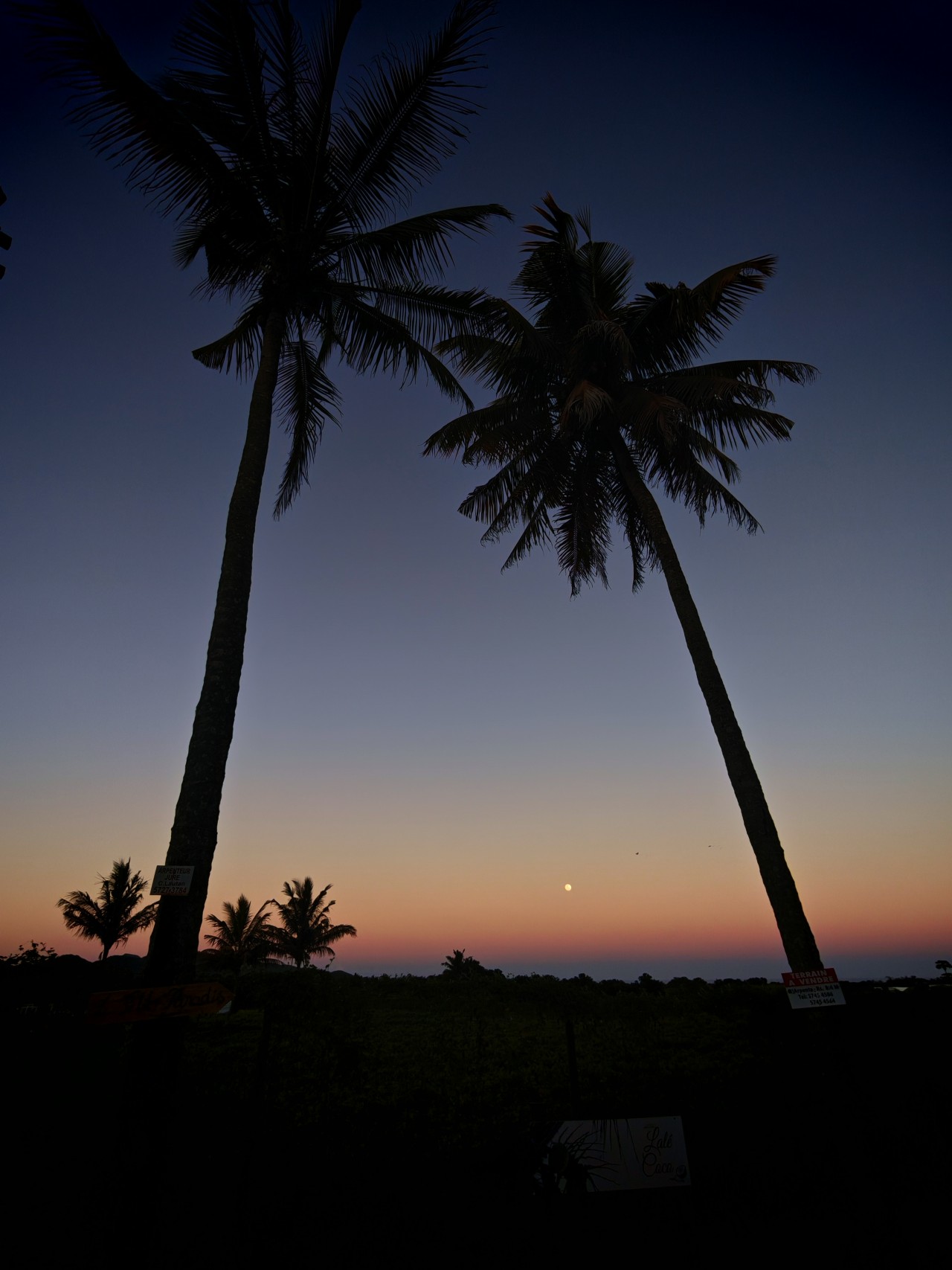 Moon rise. Free Landscapes photos