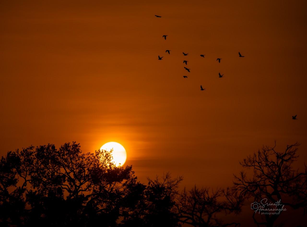 Sun down. Free Landscapes photos
