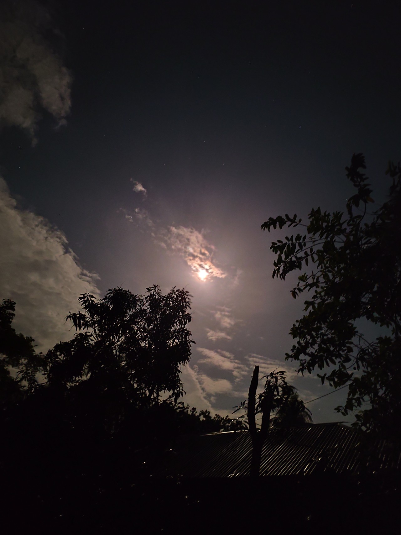 Nightmare. Free Skies photos