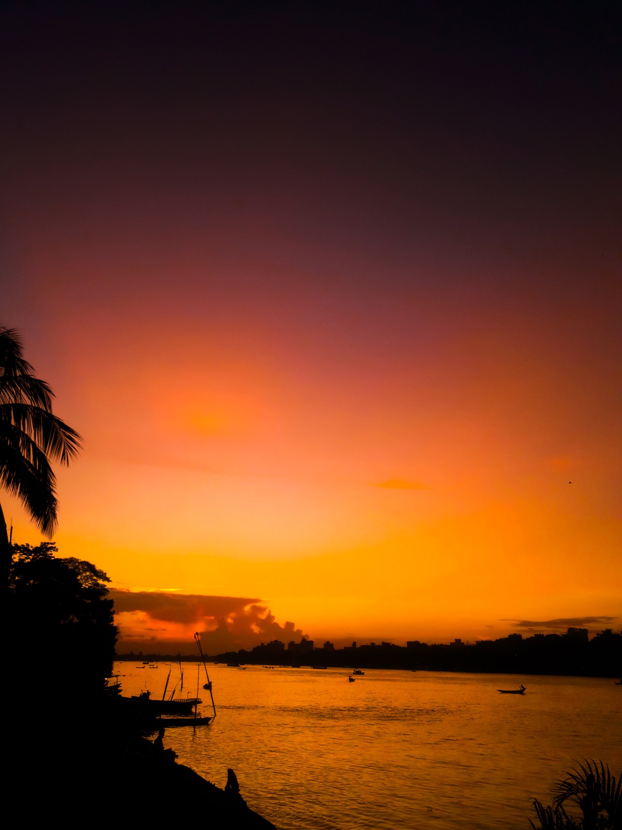 When the Sky Turns Gold. Free Skies photos