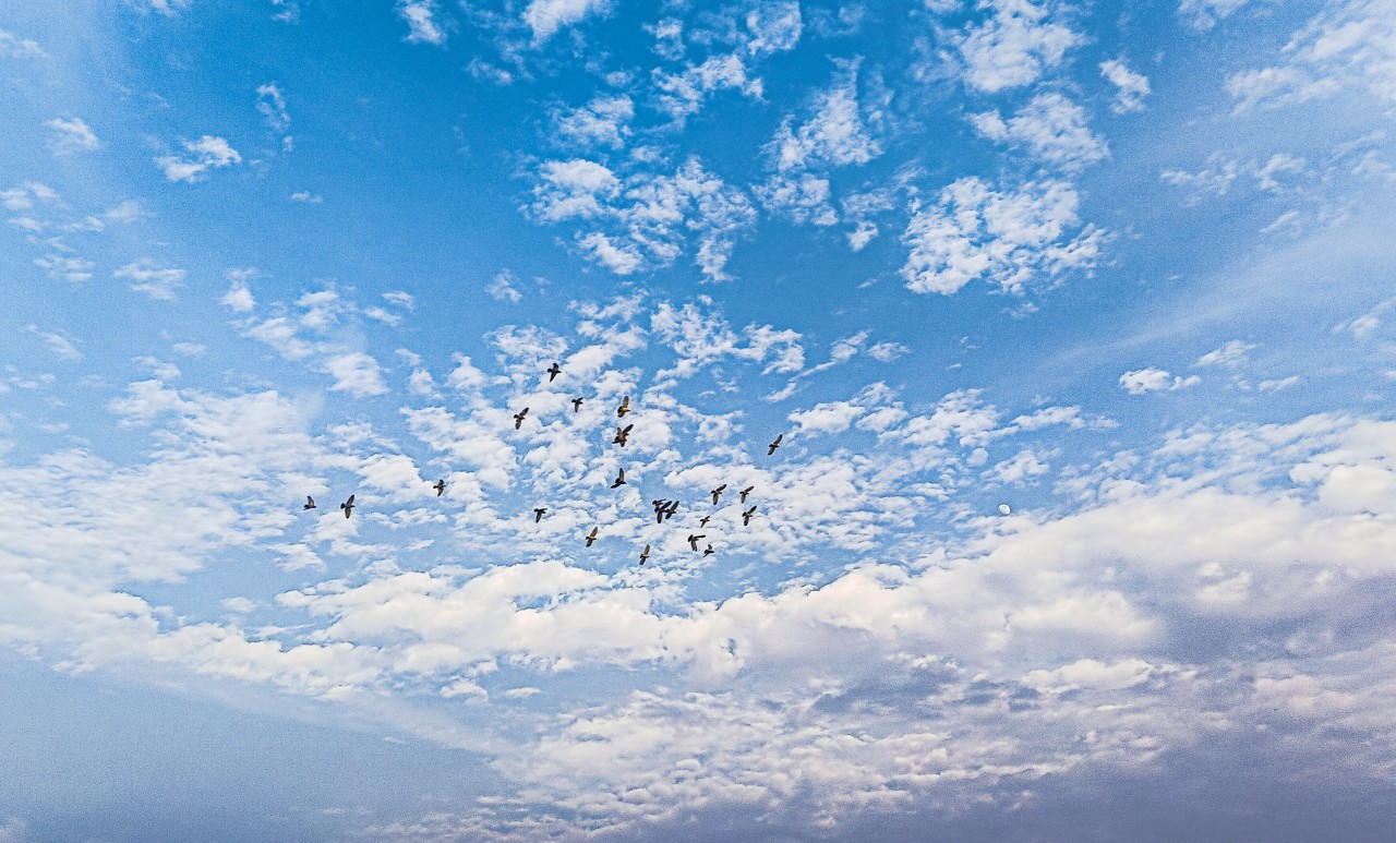 A Golden day. Free Skies photos