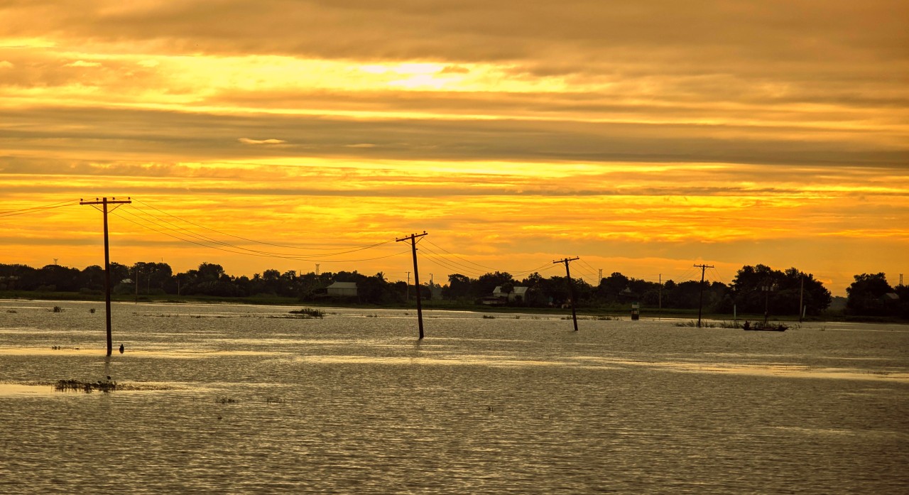 Life. Free Landscapes photos
