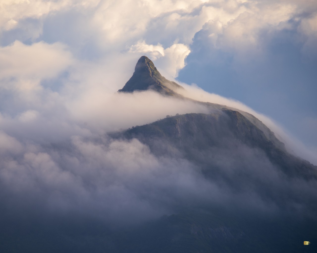 Mist Morning. Free Landscapes photos