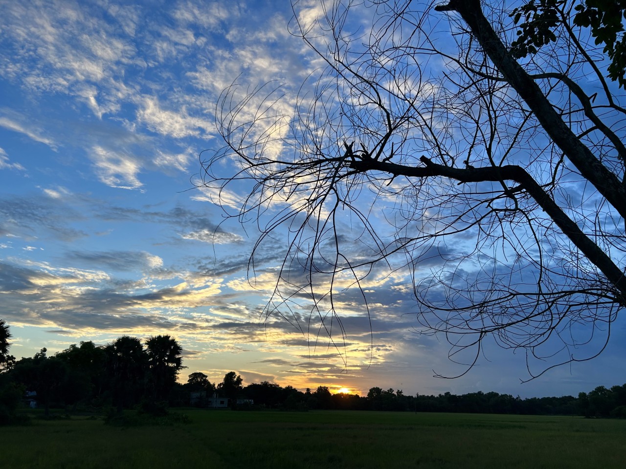 Rampur, Cumilla. Free Landscapes photos