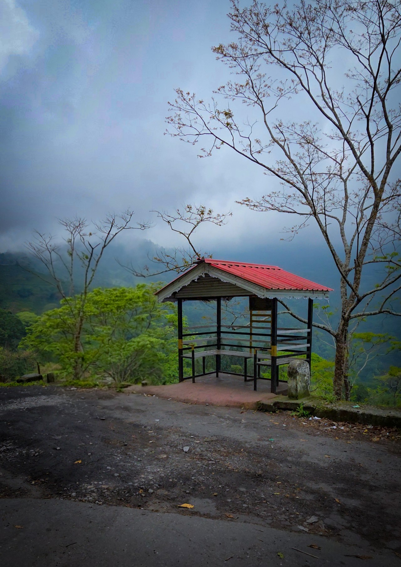 Mountain view. Free Landscapes photos