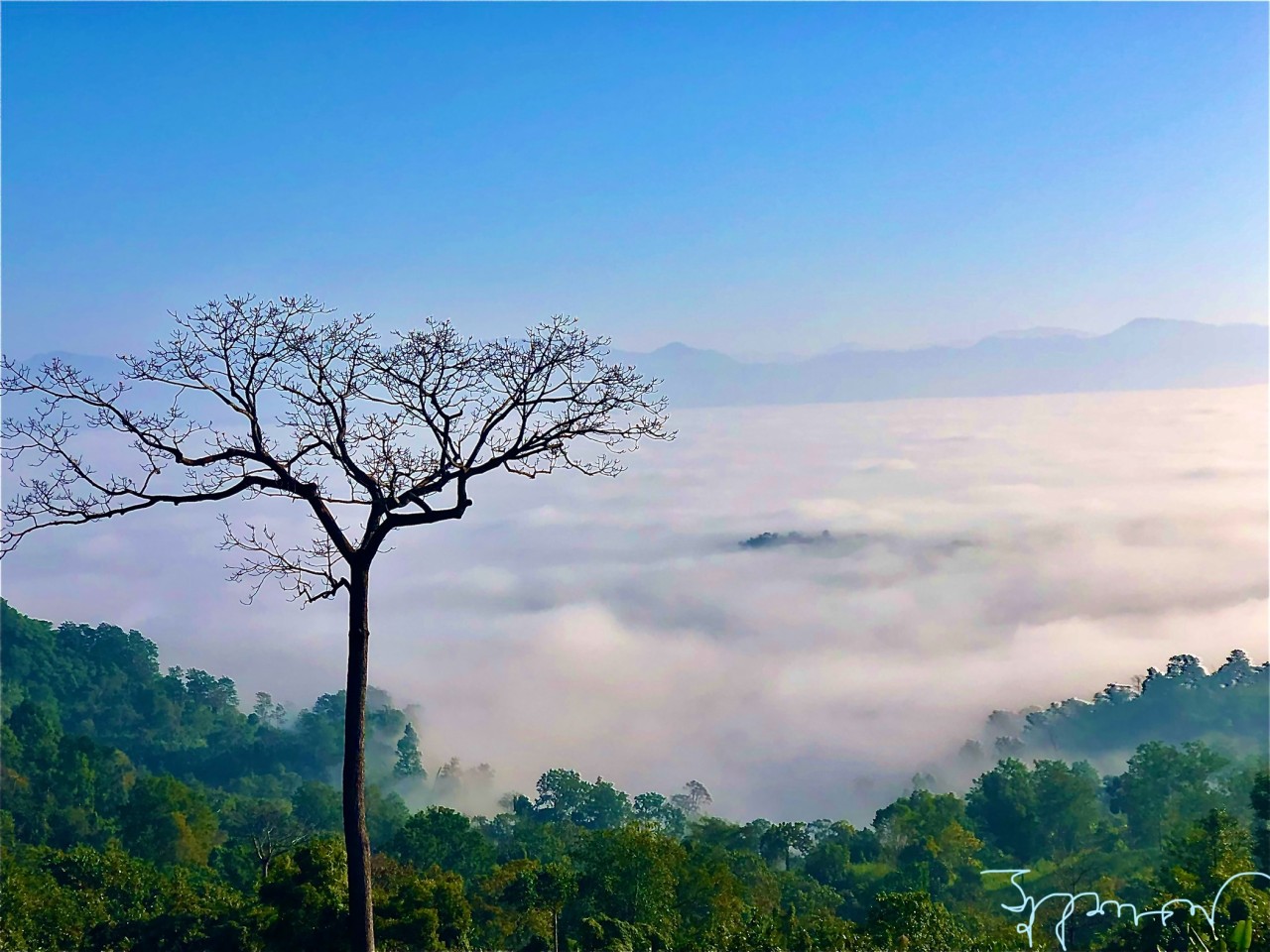 HEAVEN. Free Landscapes photos