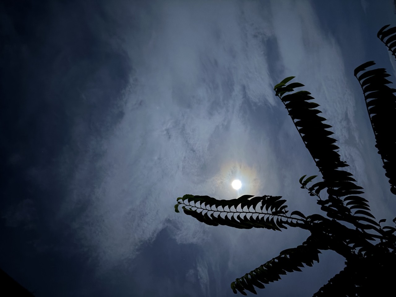 Moon. Free Skies photos