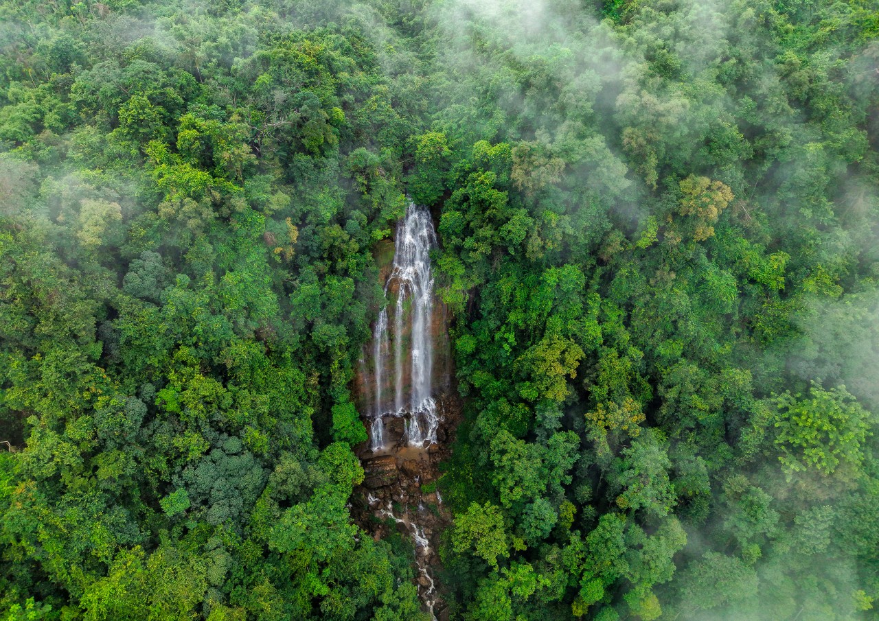 Waterfall. Free Landscapes photos