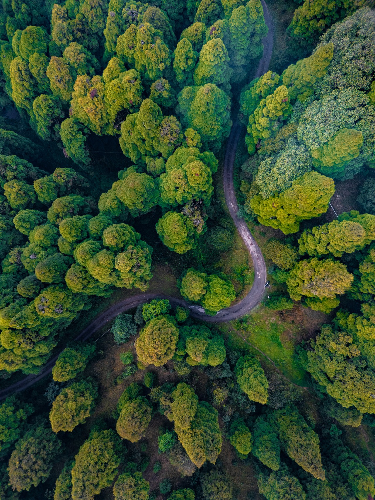 Into the Wild. Free Landscapes photos