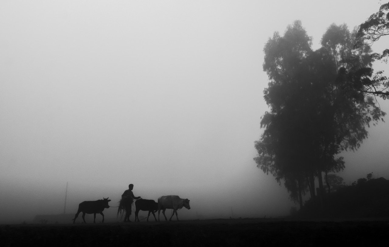Rural Life In Bangladesh. Free Landscapes photos