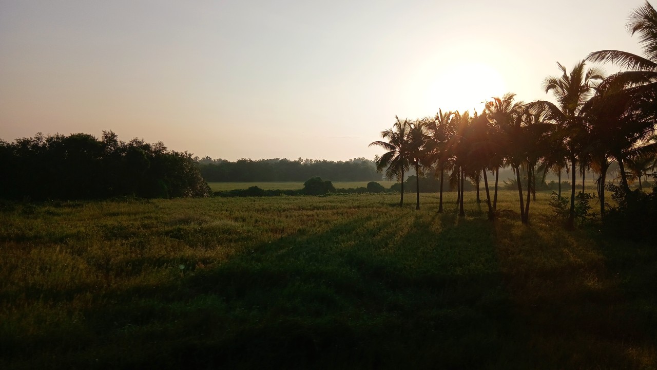 Golden sunrise. Free Landscapes photos