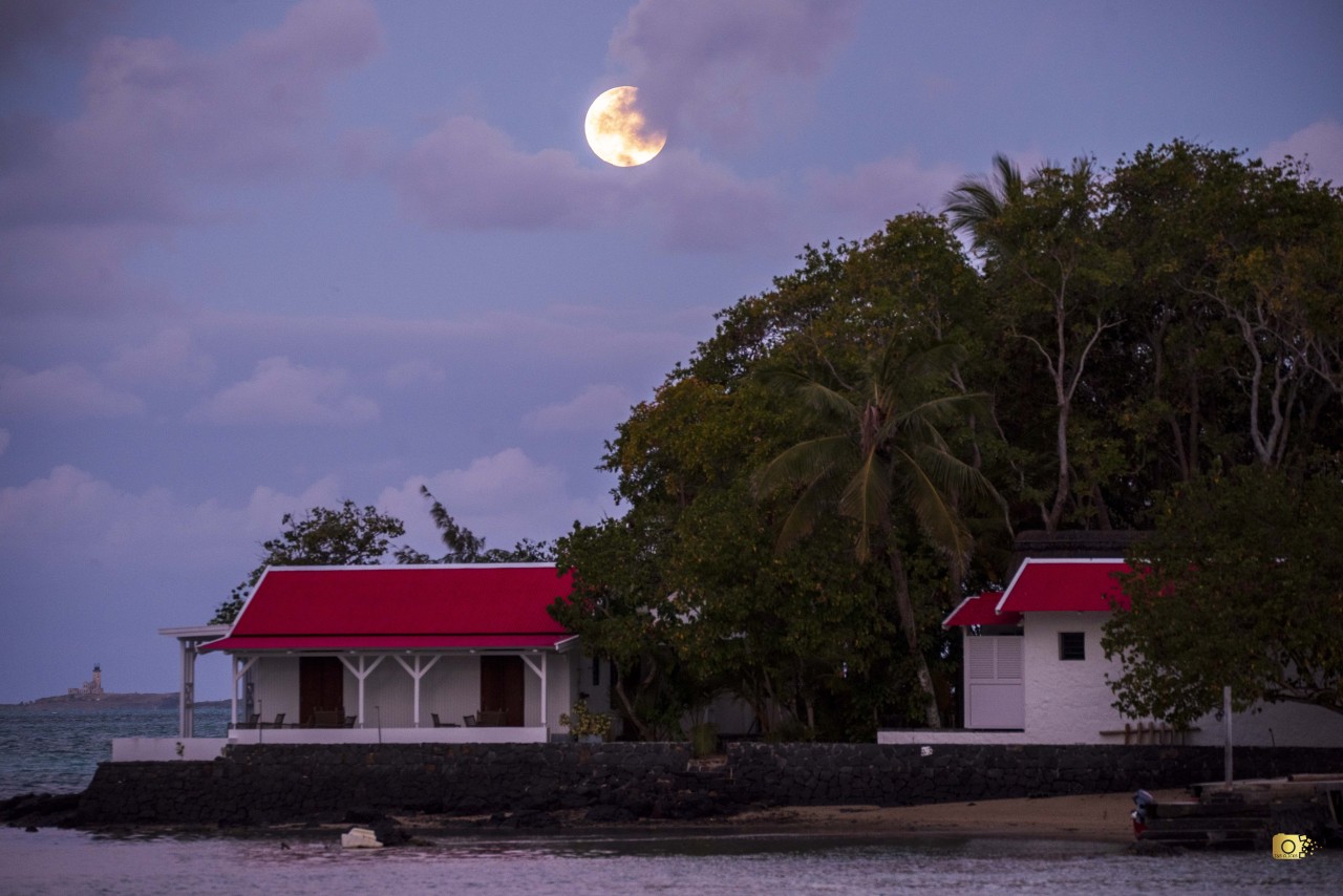 Harvest Moon Over Île au Phare. Free Seascapes photos