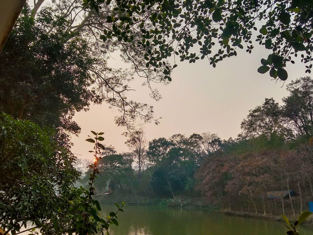 Somewhere in Green. Free Landscapes photos